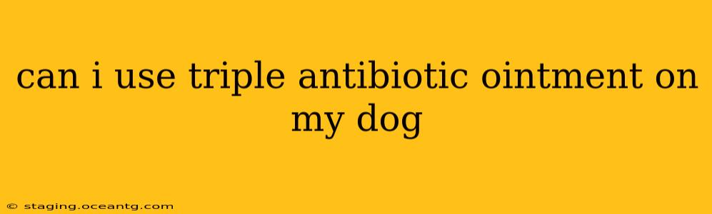 can i use triple antibiotic ointment on my dog