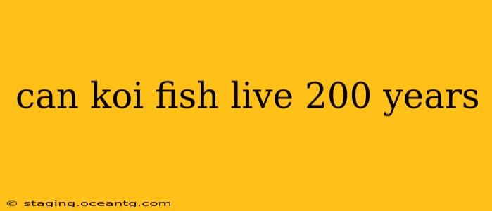 can koi fish live 200 years
