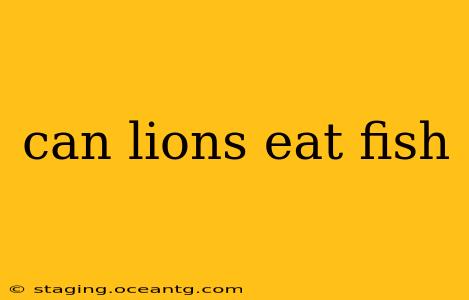 can lions eat fish