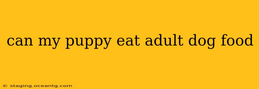 can my puppy eat adult dog food