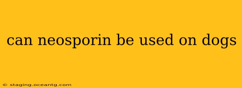 can neosporin be used on dogs