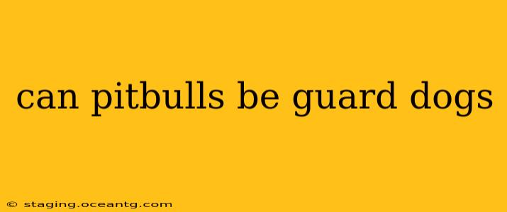 can pitbulls be guard dogs