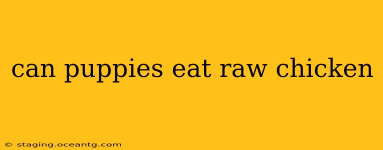 can puppies eat raw chicken