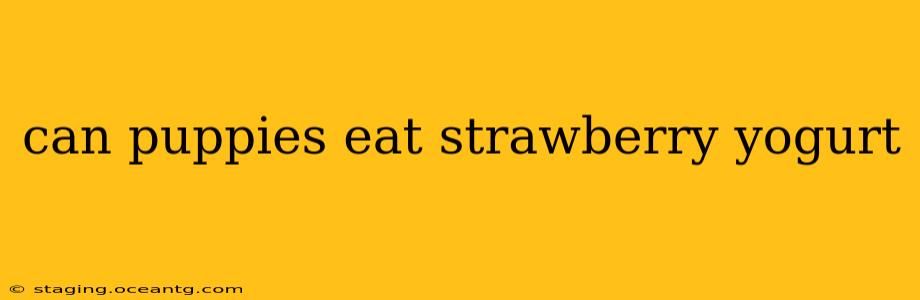 can puppies eat strawberry yogurt