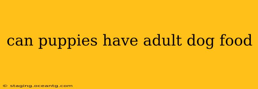 can puppies have adult dog food