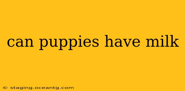can puppies have milk