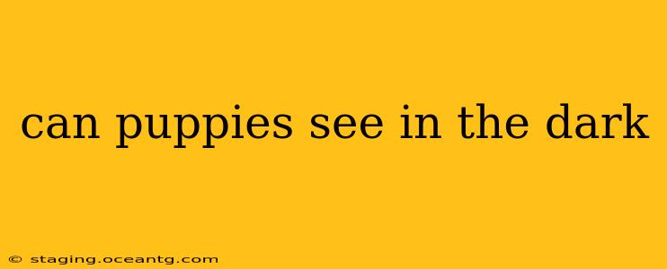can puppies see in the dark