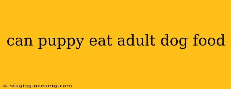 can puppy eat adult dog food