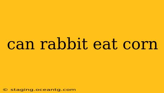 can rabbit eat corn