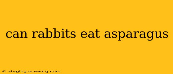 can rabbits eat asparagus