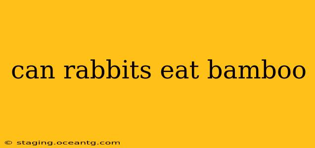 can rabbits eat bamboo