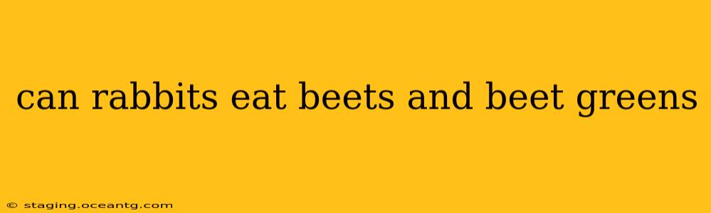can rabbits eat beets and beet greens
