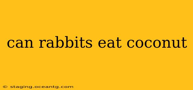 can rabbits eat coconut