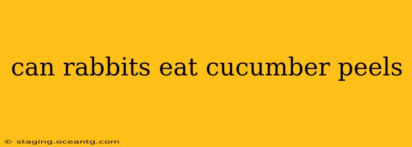can rabbits eat cucumber peels