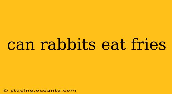 can rabbits eat fries