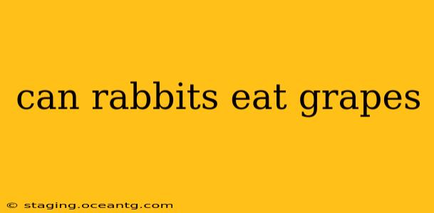 can rabbits eat grapes