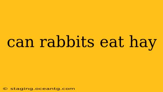 can rabbits eat hay