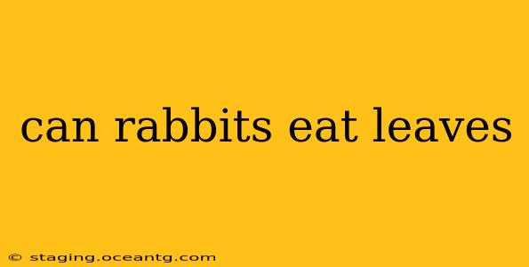 can rabbits eat leaves
