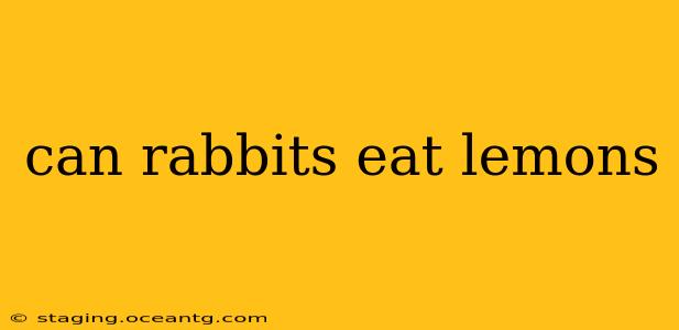 can rabbits eat lemons