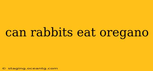 can rabbits eat oregano