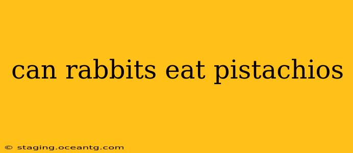 can rabbits eat pistachios