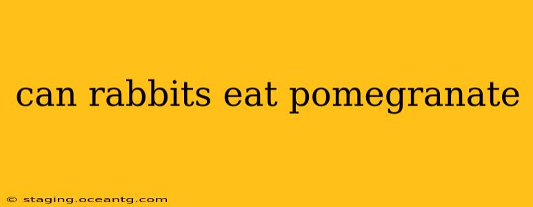 can rabbits eat pomegranate