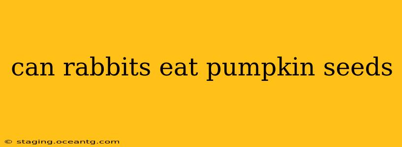 can rabbits eat pumpkin seeds