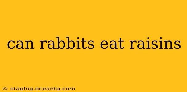 can rabbits eat raisins