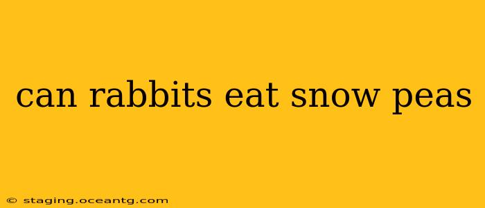 can rabbits eat snow peas
