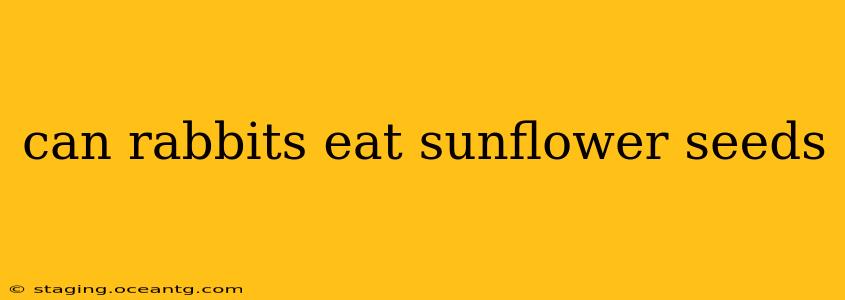 can rabbits eat sunflower seeds