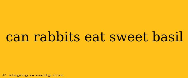 can rabbits eat sweet basil