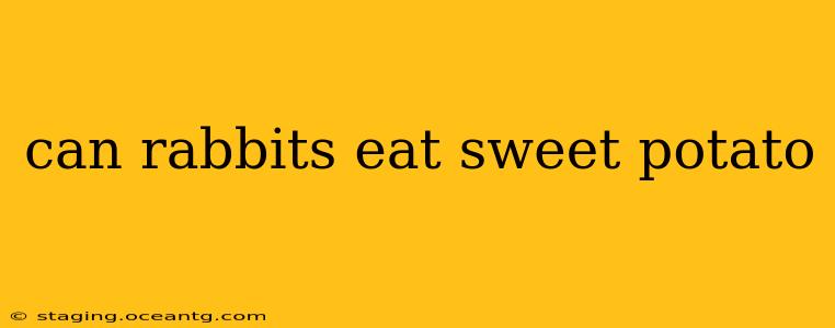 can rabbits eat sweet potato