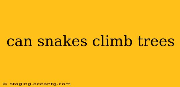 can snakes climb trees