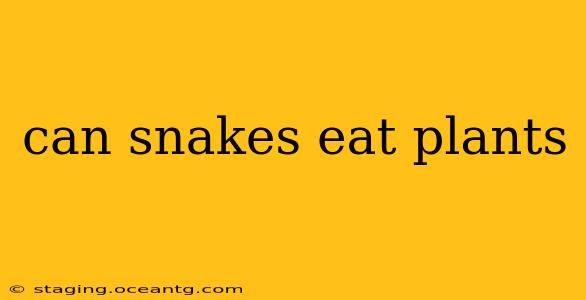 can snakes eat plants