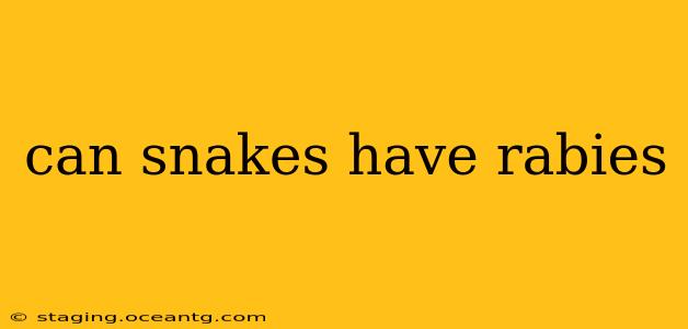 can snakes have rabies