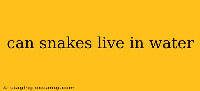 can snakes live in water