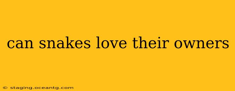 can snakes love their owners