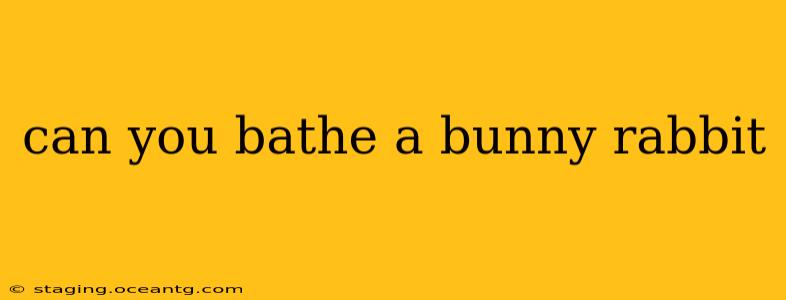 can you bathe a bunny rabbit
