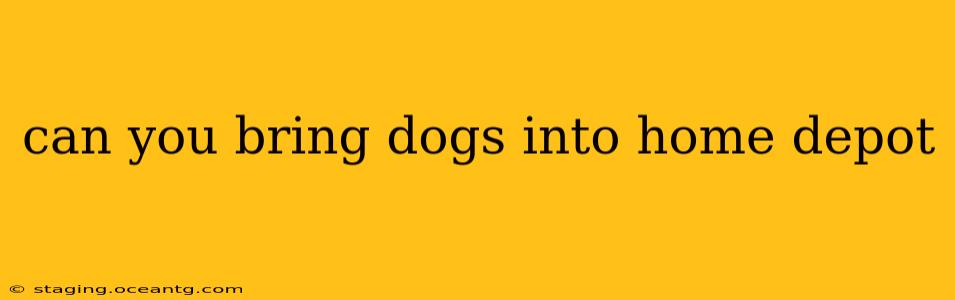 can you bring dogs into home depot