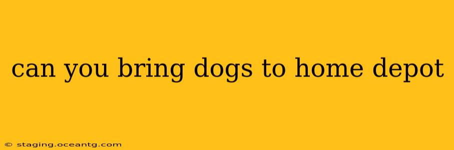can you bring dogs to home depot