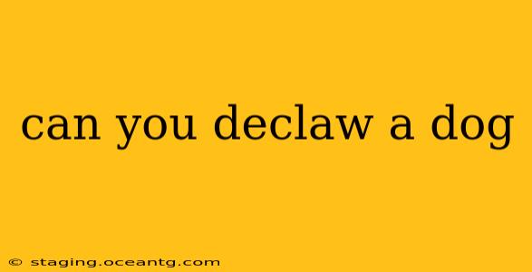 can you declaw a dog