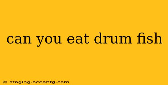can you eat drum fish