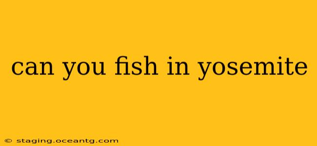 can you fish in yosemite