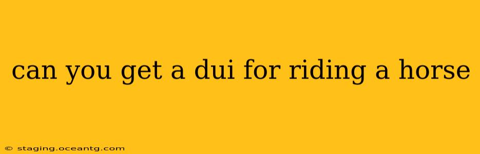 can you get a dui for riding a horse