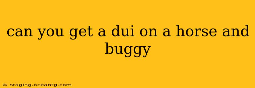 can you get a dui on a horse and buggy