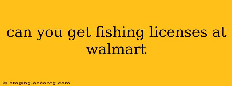 can you get fishing licenses at walmart