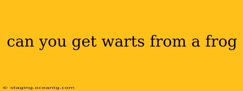 can you get warts from a frog