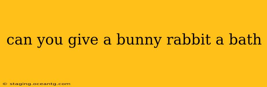 can you give a bunny rabbit a bath