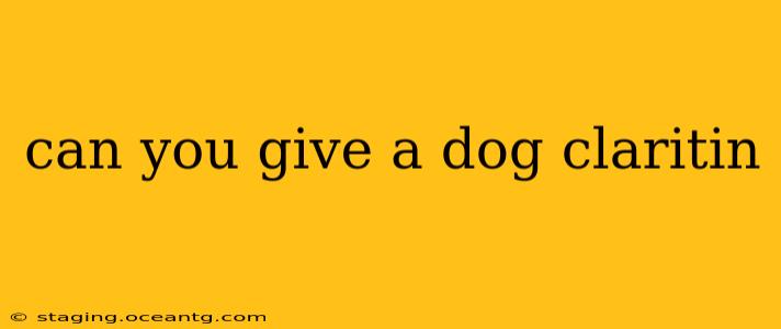 can you give a dog claritin