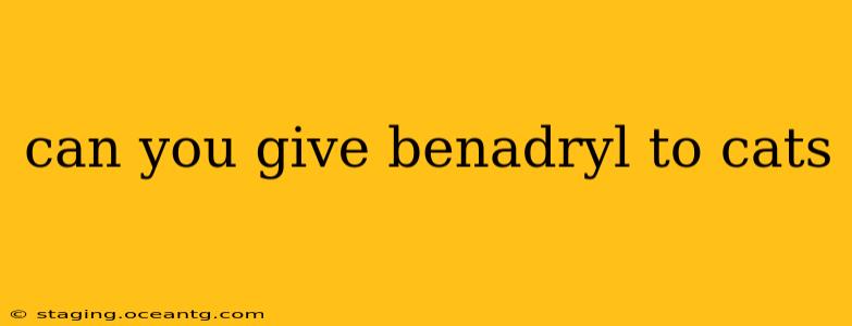can you give benadryl to cats
